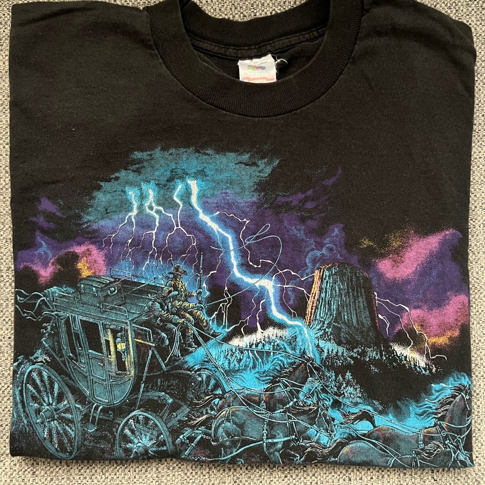 Vintage Devils Tower size Large Wyoming T-shirt